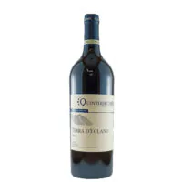 quintodecimo-aglianico-enoteca-vendita-online