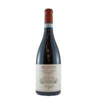 nebbiolo-anfora-vengore-enoteca-vendita-online