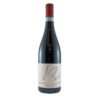 bonarda-105-senza-solfiti-enoteca-vendita-online