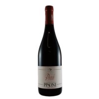 pisoni-teroldego-pradi-enoteca-vendita-online
