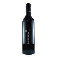 bottiglia polvanera primitivo vendita online