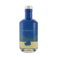 bottiglia di gin argintario